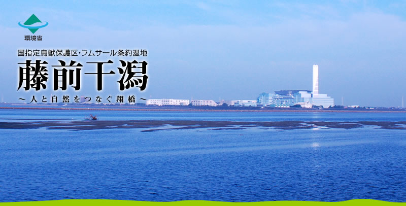 藤前干潟　～人と自然をつなぐ翔橋～